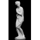 RID 74 Statua Venere Italica del Canova h. cm. 100