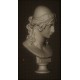 LB 353 Busto Elena di Troia - Canova h. cm. 50