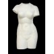 LA 4 Torso anteriore Venere dei Medici h. cm. 70