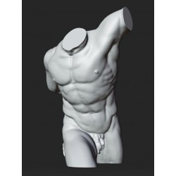 RID 108 Torso Gladiatore Borghese h. cm. 50