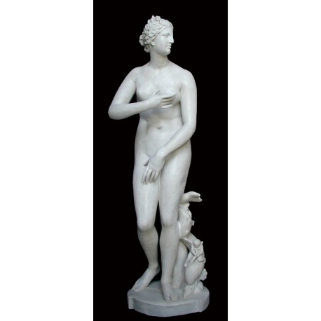 LS 127 Statua della Venere dei Medici h. cm. 167 (Galleria degli Uffizi – Firenze)