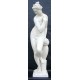 LS 114 Statua della Venere del Giambologna h. cm. 136 (Giardino di Boboli – Firenze)